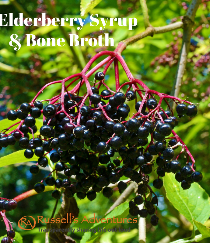 Recipes for Elderberry Syrup and Chicken broth