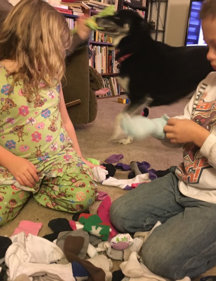 Hanging on by my teeth with the Holy Spirit…