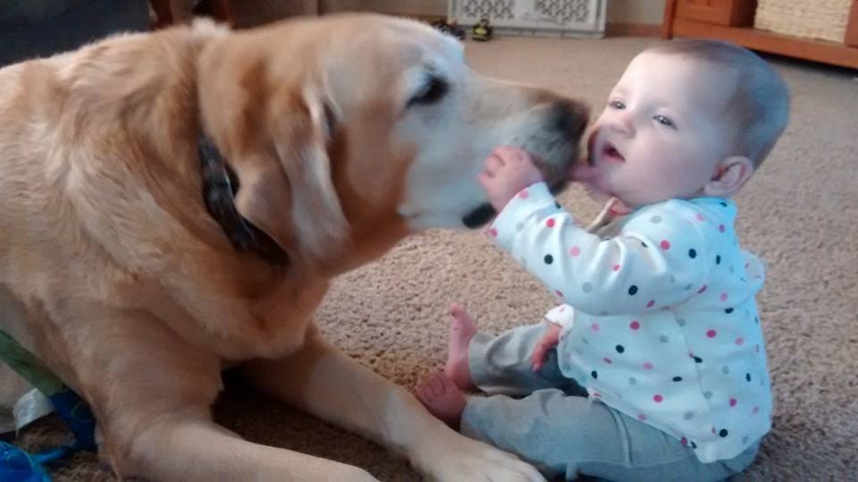 Albert Lea, our Home Sweet Home, and Why we Love Living Here!