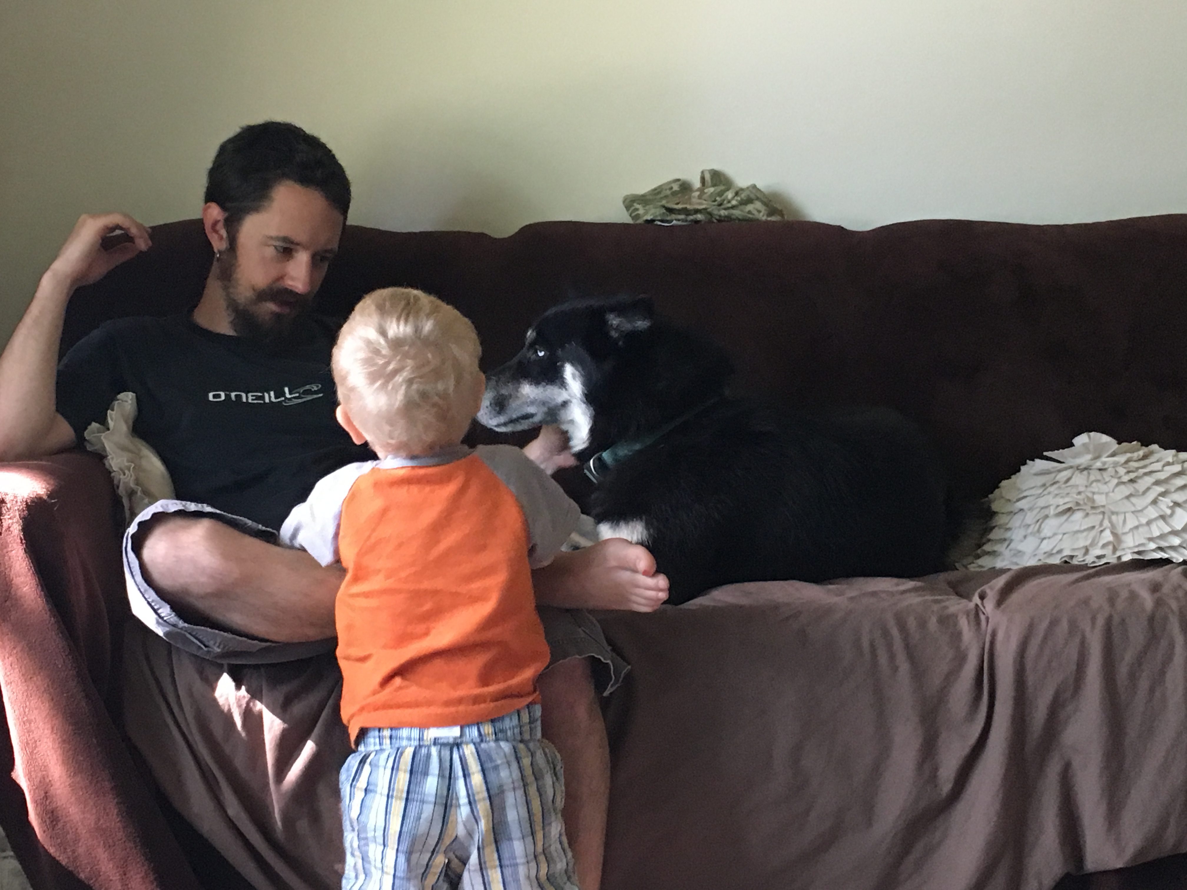 In the Absence of Communication Harry Monsters Grow