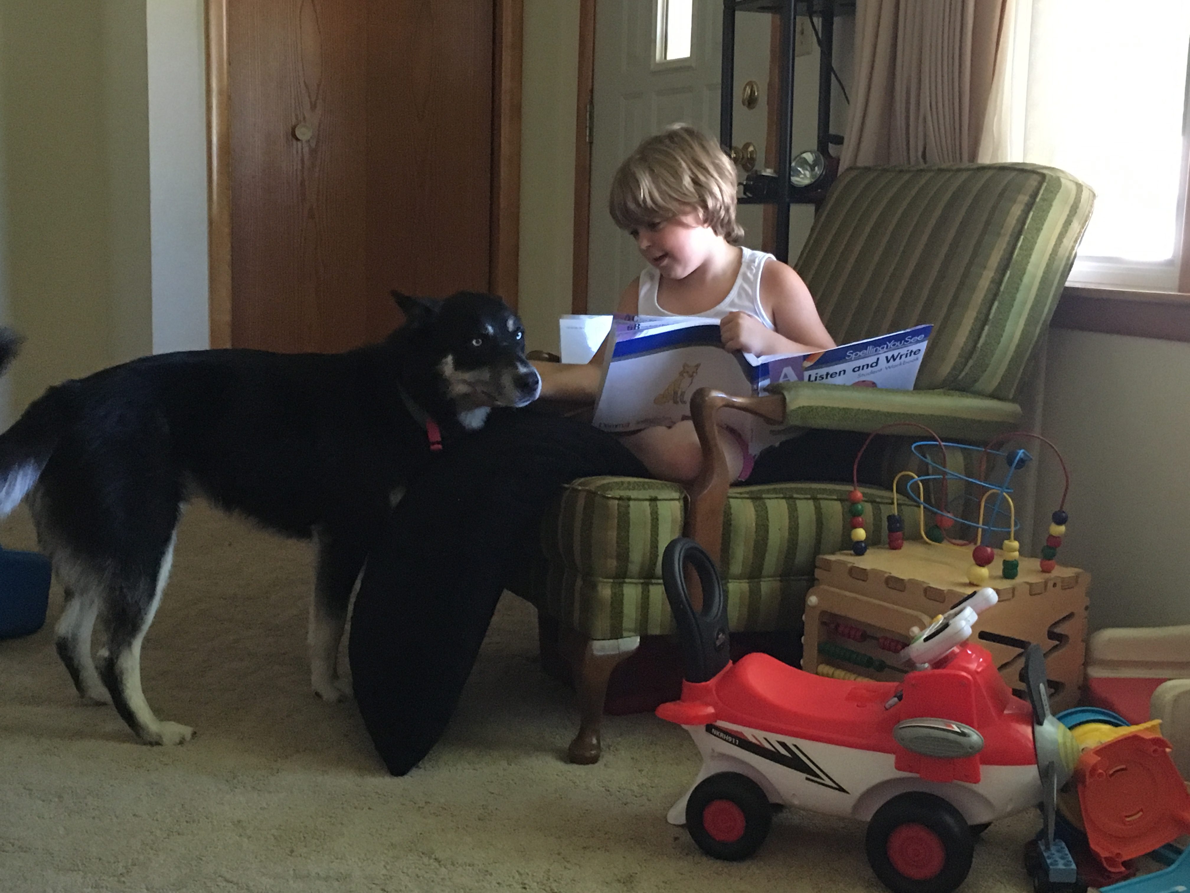 Why would I…Why would we?