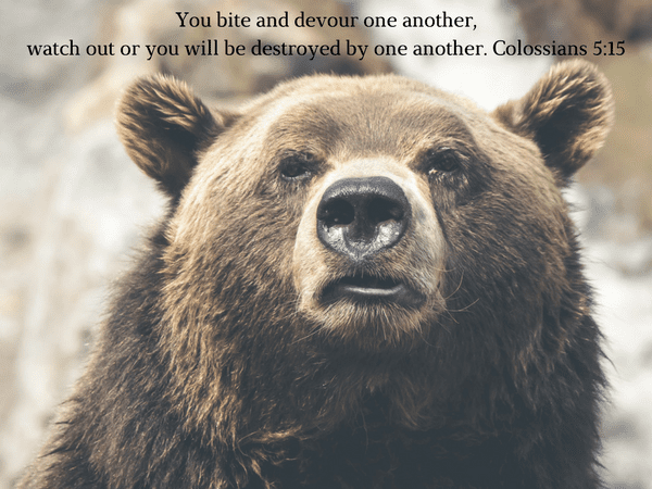 Are we biting and devouring one another?