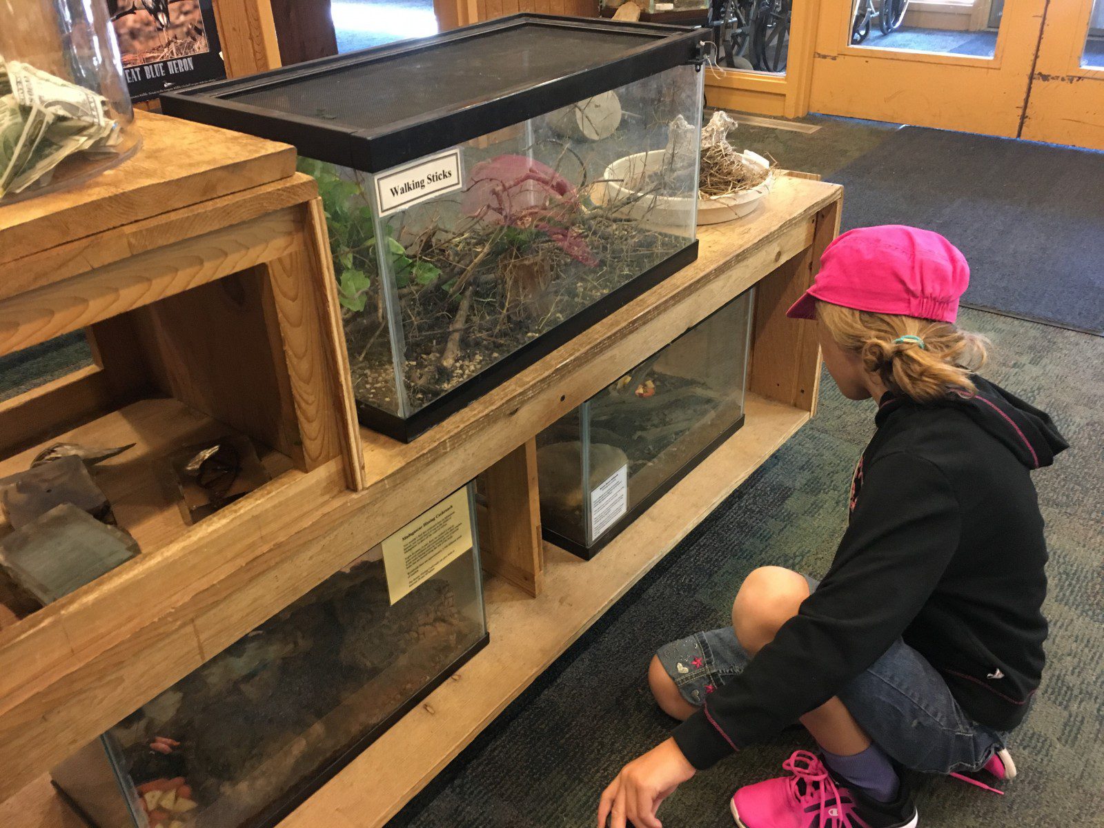 Part 3: Homeschool Tailored to Passions not Textbooks