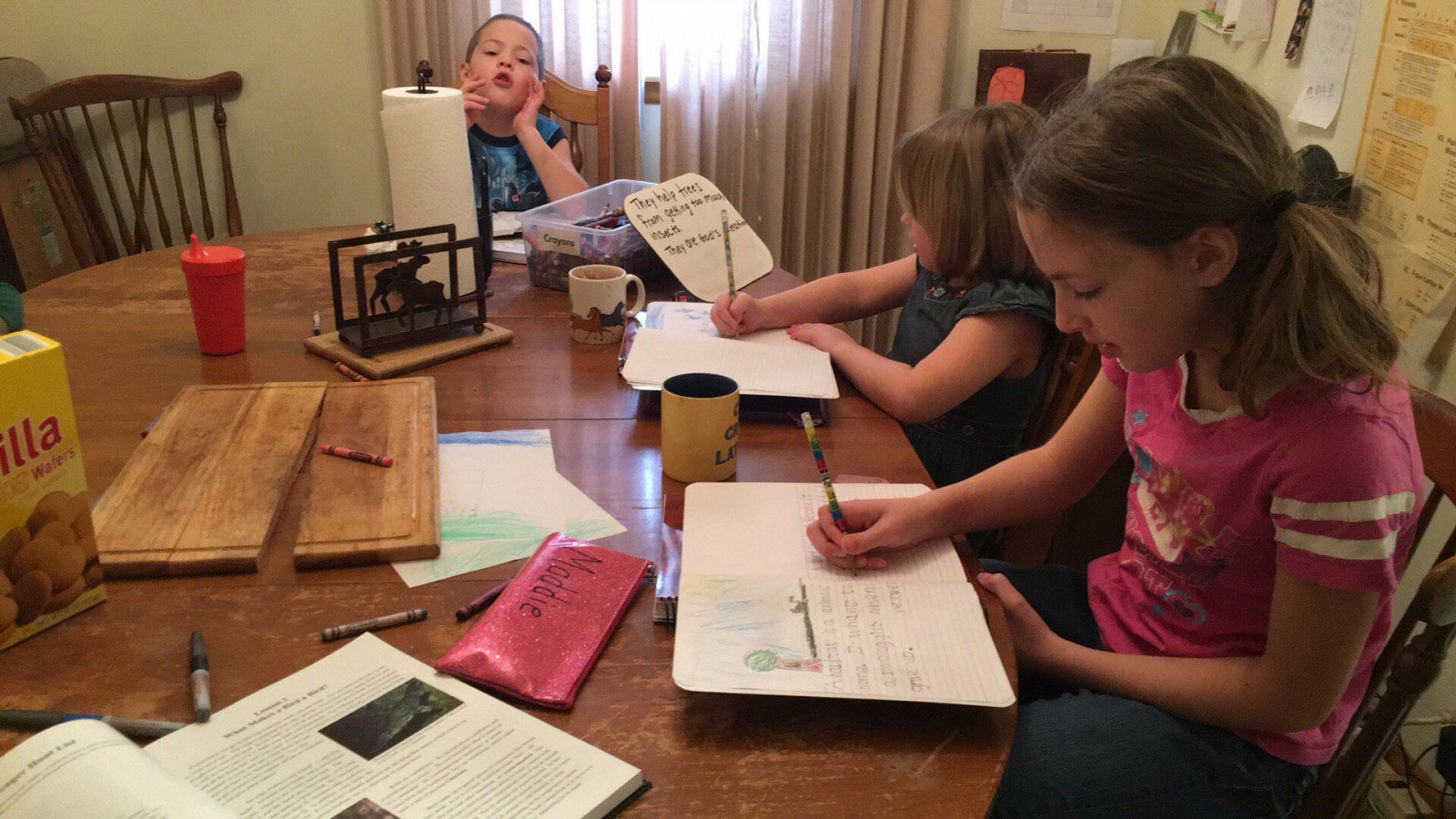 Mentor your kids through a rough homeschool day, week or months.