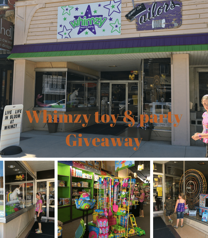 Hey Whimzy, Albert Lea’s Local Toy Store