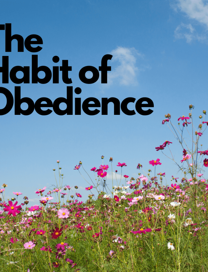 Strengthening my habit of Obedience