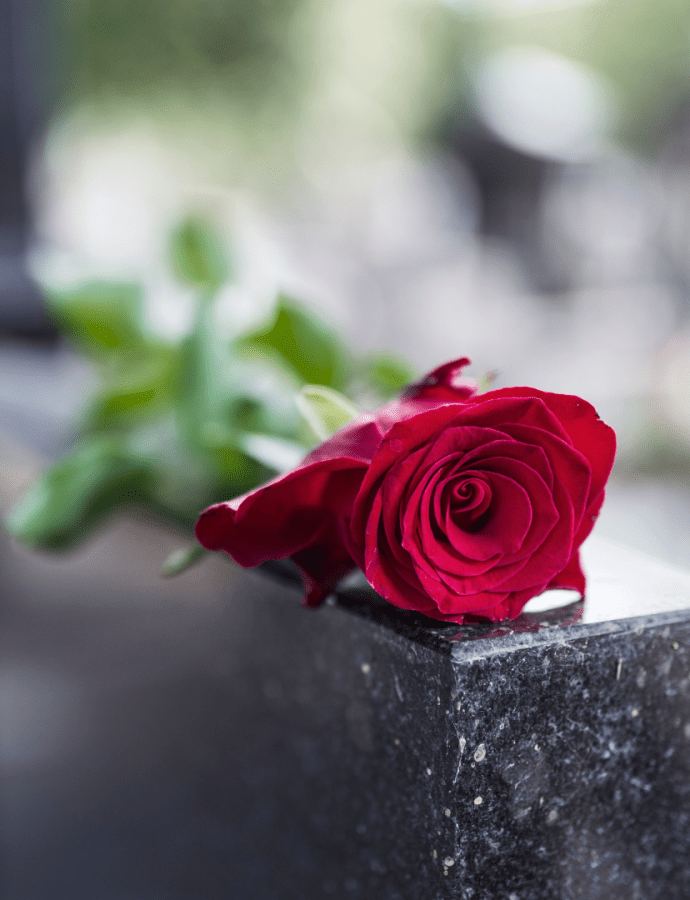 What will I look like?