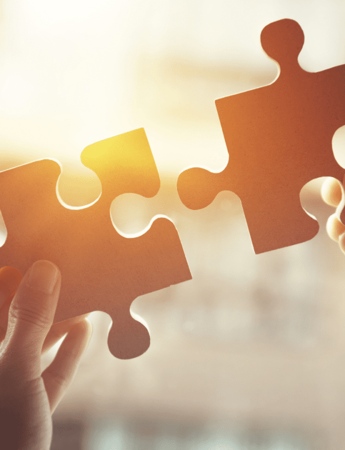 The big jig saw puzzle